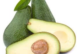 Image result for Persea americana