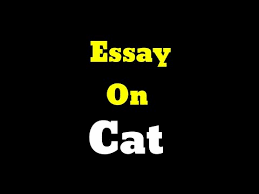 They are one of the most popular pets in the world. Essay On Cat In English Hindi Xanh