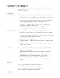 associate analyst resume examples and