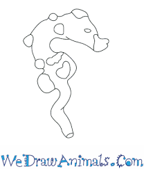 Then, draw the seahorse's bulging eyes. How To Draw A Pygmy Seahorse