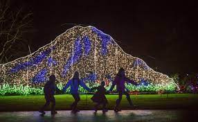 Zoolights 2021 Outdoor Holiday Fun At Point Defiance Seattle S Child