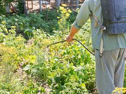 Stähler dicotex rasen un­kraut­frei dr. Roundup Umstrittener Unkrautvernichter Heimhelden