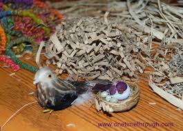 Gather your craft tools and materials. How To Make A Stunning Birds Nest Craft One Time Through
