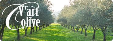 Varolive Huile D Olive Aoc Bio Provence