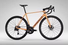 Image result for Orbea umbracula