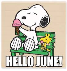 Hello June I Made This Meme 6 1 16 Jm Snoopy Funny Snoopy Love Snoopy