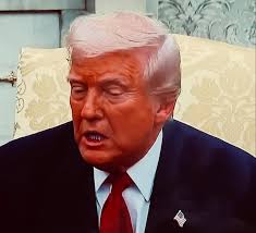 Photo posted by Gina Curcio- Nazari (@rnarges)