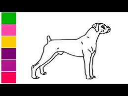 Boxer Dog Drawing Easy How To Draw Boxer Dog Step By Step Drawing Le Dog Drawing Dog Drawing Simple Dog Paw Drawing