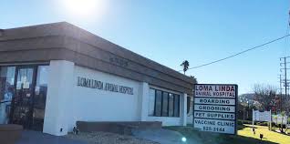 Blue cross pet hospital ⭐ , ⓜ north hollywood station, united states of america, state of california, los angeles, tujunga avenue: From Dairy Cows To Aardvarks 50 Years At Loma Linda Animal Hospital San Bernardino Sun