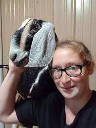 Prepper shares lessons learned from house collapse disaster