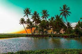 Kerala Wallpapers Tree Sunset Wallpaper Tourist Places Cool Places To Visit