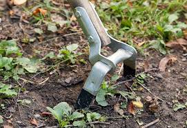 Check spelling or type a new query. How To Choose The Right Garden Hoe Garden Gate