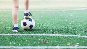 Como se pode realizar a inscrição no desporto escolar? Odemira Promove Formacao Sobre Desporto Escolar E Articulacao Com O Federado S