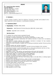 sales dealer resume resume templates