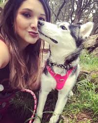 Abilene's Cats and Dogs Need Our Help Now to Empty the Shelter