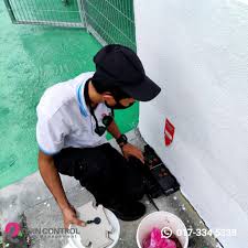 Check spelling or type a new query. Rawatan Tikus Baiting Quin Control Pest Management Sdn Bhd