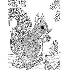 Colouring In Sheets Art Craft Art Supplies Craft Supplies Kid S Craft Art Cr Art Therapy Coloring Book Squirrel Coloring Page School Art Supplies