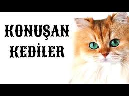Konusankediler Hashtag On Twitter
