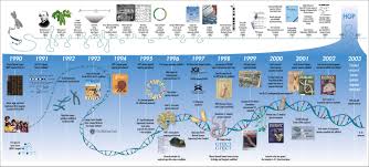 Human Genome Timeline Human Genome Genome Project Biology Resources