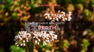 Maybe you would like to learn more about one of these? 10 Flower Delivery Services In Perth With Affordable Bouquets From 25 Bestfloristreview