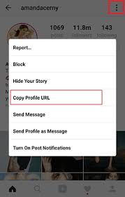 How to copy instagram profile link. How To Save Or Download Instagram Profile Picture