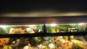 Gutter Hood Light D I Y Hca Hermit Crab Association