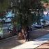 Media image for bixby knolls long beach ca from Fox News