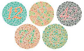 The circle has a shape inside it that's made out of dots — like a number, a letter, or a squiggly line. Are You Colorblind And How Good Is Your Color Vision Petapixel