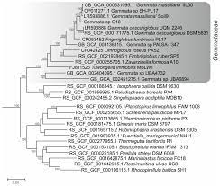 Jawa pos tarif iklan dan harga iklan koran tahun 2012. Sustainability Free Full Text Exploring Antibiotic Susceptibility Resistome And Mobilome Structure Of Planctomycetes From Gemmataceae Family Html