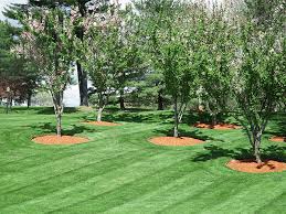 We did not find results for: Garden Center Wolfrath S Nursery And Landscaping