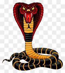Please wait while your url is generating. Cobra Cobra Snake Png Free Transparent Png Clipart Images Download