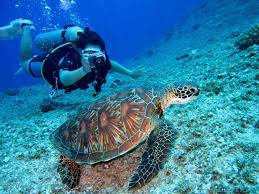 The events will be men's and women's versions each of: Tips To Face Your Fears While Scuba Diving Blue Season Bali