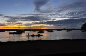 The butterfly count at the Monarch Butterfly Grove in Pismo Beach are down  quite a bit this year (only 205 as of 12/18/2024!