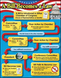 Bill Becomes A Law Chart For The Classroom Teaching