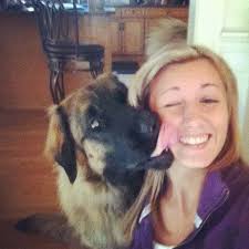 Dog lover's emotional led wall art decoration