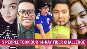 14 day fiber challenge