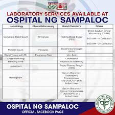 District Hospitals Lungsod Ng Maynila