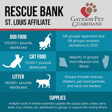 Girls on the run st. Gateway Pet Guardians Serves Community As St Louis Rescue Bank Affiliate Gateway Pet Guardians