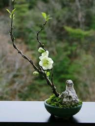 Google Mini Zen Garden Ikebana Zen Garden
