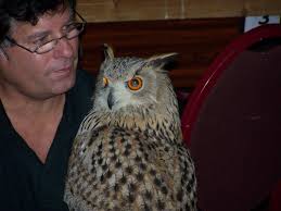 De Site van Jarno van Hespen