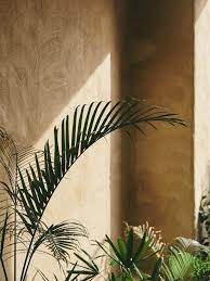 Maybe you would like to learn more about one of these? Fort Of The Sun Cereal Beige Aesthetic Green Aesthetic Plant Aesthetic