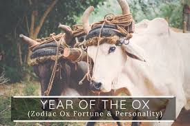 Even if their forward progress is in tiny increments to the chinese ox it still means forward movement and that's ok with them. Year Of The Ox Meaning Personality Prediction In 2021