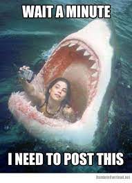 Girl Meme Facebook Selfie Fail Funny Pictures Jokes And Comment Picture Funny Selfies Funny Picture Jokes Funny Pictures