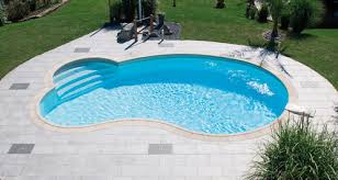 Piscine Haricot Criteres De Choix Installation Prix Ooreka