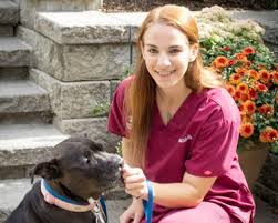 All of the pets under our care continue to need food, supplies, and veterinary care. Mountainview Gives Back Veterinarian In Rockaway Nj Mountainview Veterinary Hospital