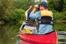 Birding by Canoe on the Ipswich River