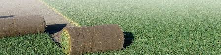 Find bonide products in retailers nationwide. Lawn Care Products Online Buy Wetting Agent Dog Rocks More