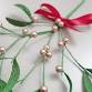 Crepe Paper Mistletoe Physical Workshop event image