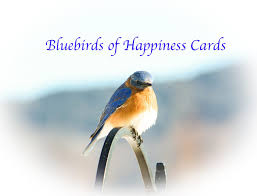 Bluebirds Of Happiness Cards Dreamscape Jewelry Design