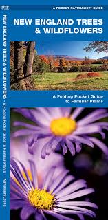We did not find results for: New England Trees Wildflowers A Folding Pocket Guide To Familiar Plants Wildlife And Nature Identification Kavanagh James Waterford Press Leung Raymond 9781583551745 Amazon Com Books